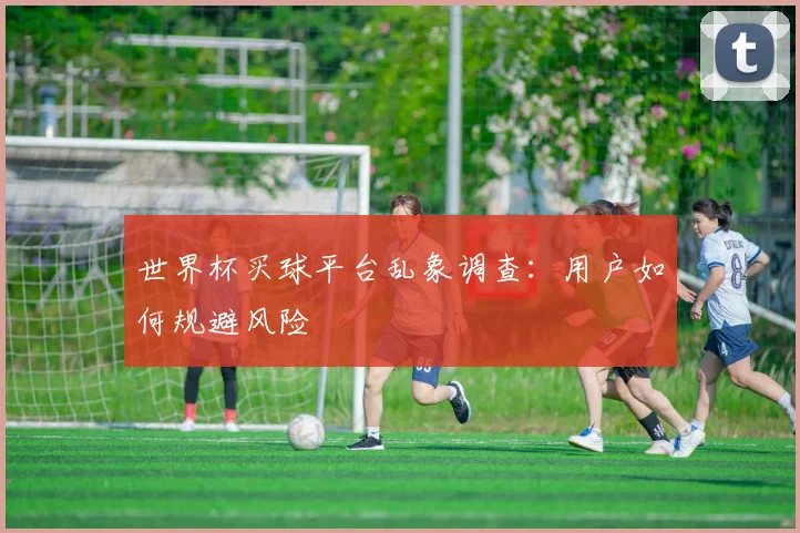 世界杯买球平台乱象调查:用户如何规避风险