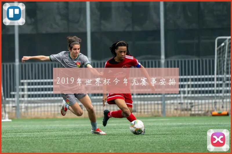 2019年世界杯今年无赛事安排